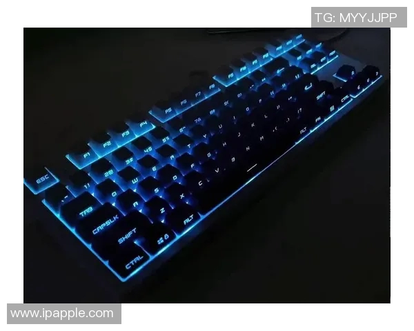 CSGO装备选购指南：适合玩家的机械键盘推荐与评测